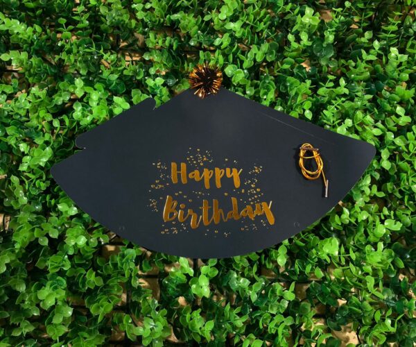 Gorro Bonete "HAPPY BRITHDAY" Liso xU - Image 5